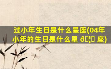 过小年生日是什么星座(04年小年的生日是什么星 🦅 座)